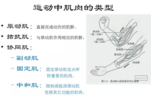 悬吊康复系统2.jpg