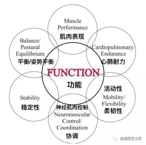 全身运动训练康复系统.jpg