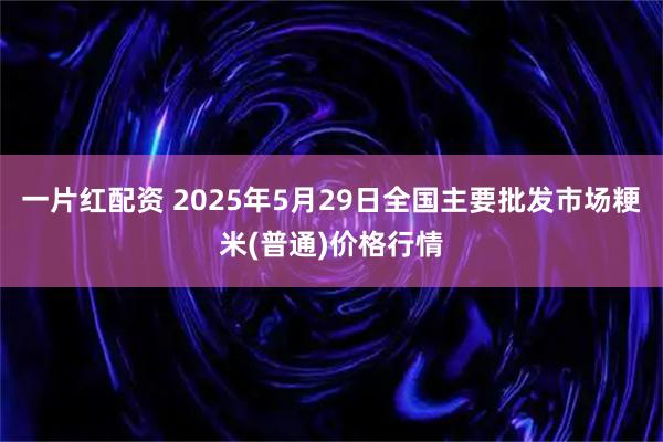一片红配资 2025年5月29日全国主要批发市场粳米(普通)价格行情