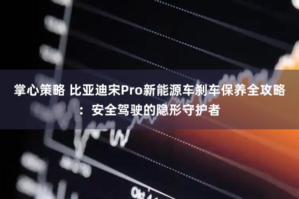 掌心策略 比亚迪宋Pro新能源车刹车保养全攻略：安全驾驶的隐形守护者