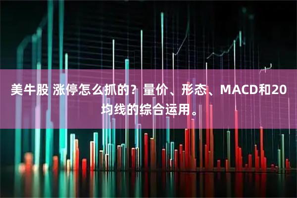 美牛股 涨停怎么抓的？量价、形态、MACD和20均线的综合运用。