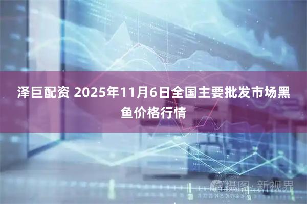 泽巨配资 2025年11月6日全国主要批发市场黑鱼价格行情