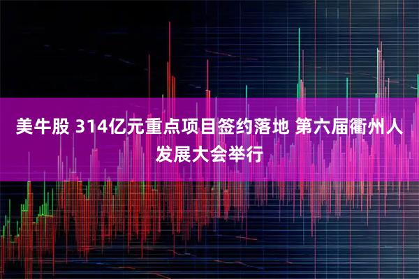 美牛股 314亿元重点项目签约落地 第六届衢州人发展大会举行