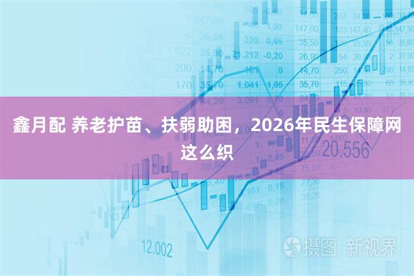 鑫月配 养老护苗、扶弱助困，2026年民生保障网这么织